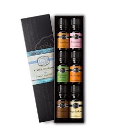 Winter Set of 6 Premium Grade Fragrance Oils – Cinnamon, Gingerbread, Sugar Cookies, Harve ...