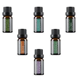 Aromatherapy Oils 100% Pure Therapeutic Grade Basic Essential Oil Gift Set by Wasserstein (Top 6 ...